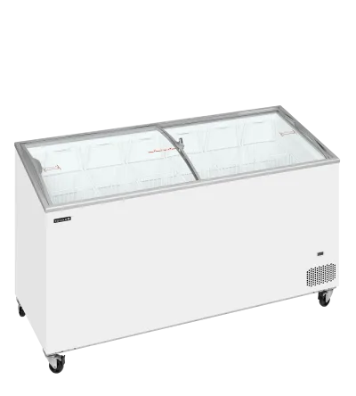 IC501SCEB